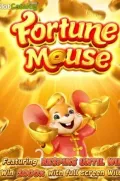 Fortune Mousse en FLAPWINGS COM